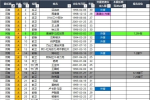 河南队、大连英博、深圳新鹏城2026中超联赛报名名单（夏窗后）
