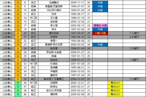 泰山2026中超夏转后报名名单：撤下德尔加多等6将 仅补报郝富博